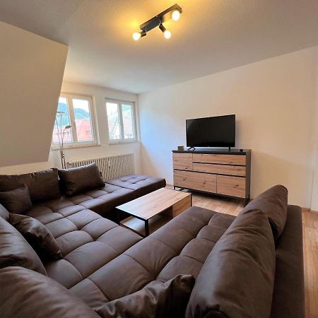 Ferienwohnung Kinzigblick - Balkon - Fuer Kinder - Mit Bettwaesche & Handtuecher شنكنزل المظهر الخارجي الصورة